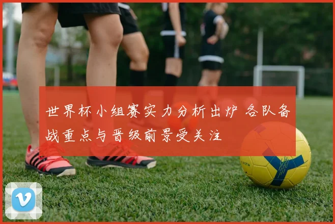 世界杯小组赛实力分析出炉 各队备战重点与晋级前景受关注