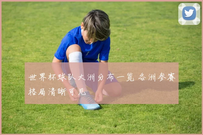 世界杯球队大洲分布一览 各洲参赛格局清晰可见