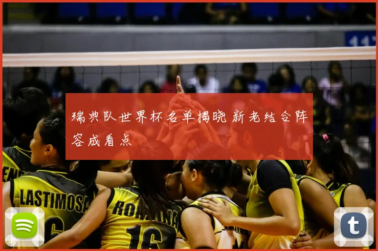 瑞典队世界杯名单揭晓 新老结合阵容成看点
