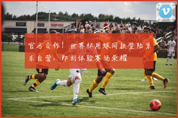 官方合作!世界杯用球同款登陆京东自营,即刻体验赛场荣耀