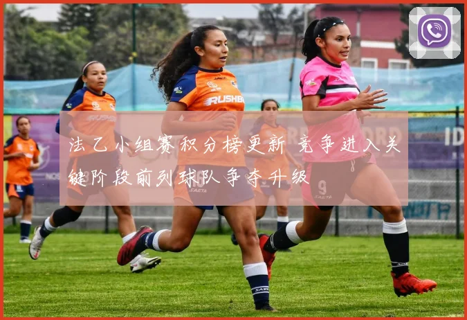 法乙小组赛积分榜更新 竞争进入关键阶段前列球队争夺升级