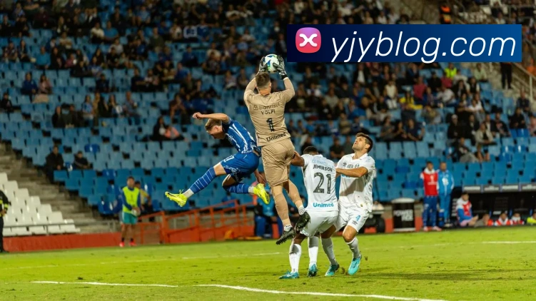 世界杯app官网平台生态图